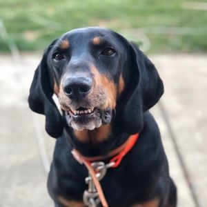 Meet your Posher, Candy